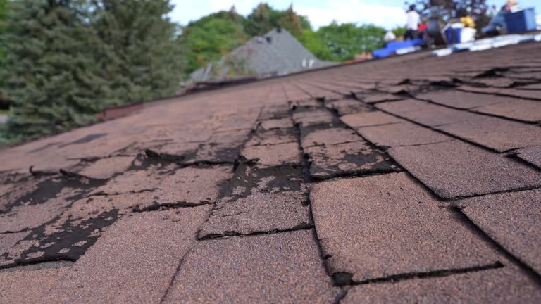 Best Roof Insulation Installation  in Golden Valley, MN