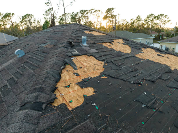 Best Asphalt Shingles Roofing  in Golden Valley, MN