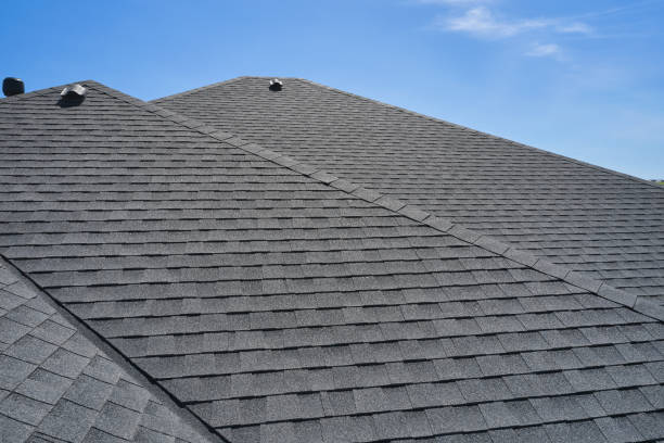 Best 4 Ply Roofing  in Golden Valley, MN