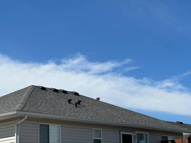 Best Green or Eco-Friendly Roofing Solutions  in Golden Valley, MN